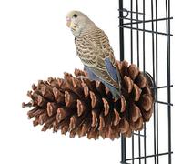 Plataforma de loro - Soporte de piña natural, bastón de pata Accesorio para pájaros | Perchas jaula para periquitos, pájaros del amor, loros pequeños y medianos, broche de ejercicio de garras