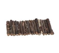 Plataforma de reptil para acuario, anfibio, escalera, S