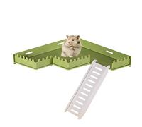Plataforma de soporte para hámster | Gimnasio seguro de PVC con escalera - Juguete animal para la salud física y mental de los jerbos, hámsta, tamias, erizos, ardillas Exbert