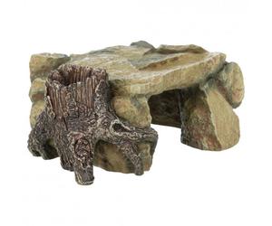 Plataforma Rochosa c/ Tronco