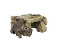 Plataforma Rocosa Con Tronco