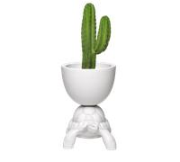 PLATAFORMA Y FRIGORÍFICO PARA TORTUGAS PARA CHAMPAGNE 36004 QEEBOO