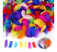 PLATEYTR Plumas Manualidades Colores Pastel, 200 Piezas Plumas Decorativas de Colores, Plumas Naturales de Ganso, Plumas para Manualidades, aptas para Bricolaje, decoración de Fiestas