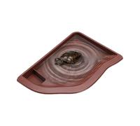 Plato de agua de reptiles: tazón de agua de tortuga grande duradero, tazón de reptiles para paisajes con material no tóxico | Plato de de tortuga para mascota acuática de dragón barbudo de acuari