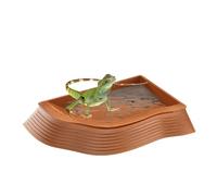 Plato de agua para tortuga - Cuenco de alimentación 27 x 19,5 x 3 cm, bandeja de ABS duradera para reptiles, cuenco de agua antideslizante para tortuga con un diseño poco profundo para beber y bañarse