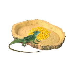 Plato de alimentación de tortugas - Bandeja De Comida Ligera | Plato De Reptil De Perfil Bajo - Comedor De Lagarto Compacto, Cuenco De Agua Divertido Para Tanque, Accesorios De Terrario