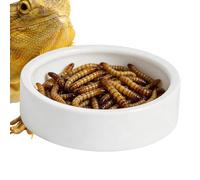 Plato de Alimentación para Reptiles Cerámica De Base Estable Y A Prueba De