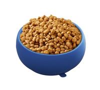 Plato de comida de goma, plato de entrenamiento para cachorros, base antideslizante con función de masticación, contenedor para mascotas de ejercicio, soporte de forraje con diseño compacto, bandeja d