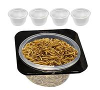 Plato de Comida de Reptil, Plato de Agua para el Tanque de Reptiles - Alimentador de Alimentos Lagarto Tazón de Agua con - Space Saving Feeding Plan con Tazas Accesorios para Tanques para Jaula y