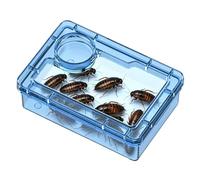 Plato de Comida para Reptiles para Reptiles a Prueba de Fugas