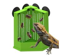 Plato de comida para reptiles | Plato de alimentación de dragón barbudo con - Alimentador de esquina antiescape, suministros para mascotas para guardianes de recinto de terrario, principiantes