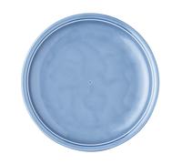 Plato De Comida Thomas Trend Color Azul Ártico 26 Cm