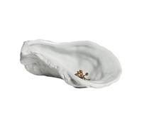 Plato de salsa 1 plato de cerámica irregular con forma ostra, postre, bandeja for aperitivos y frutas, for la cena