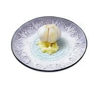 Plato rallador de cerámica - Pequeños utensilios de cocina de prensa, ajo, jengibre, platos para rallar a mano | para jengibre, zanahoria, chocolate, queso, wasabi, hogar, camping, picnic, barbacoa