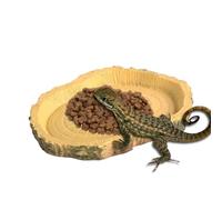 Platos de alimentación de tortugas, cuenco de alimentación de reptiles poco profundo y plano, suministros divertidos para mascotas, comederos de camaleón portátiles para dragón barbudo, lagartos