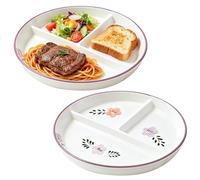 Platos de almuerzo de porcelana, 2 piezas, platos divididos de cerámica, platos divididos de cerámica para fiestas, aperitivos, adultos, platos divididos, ensaladas, cocina, postres