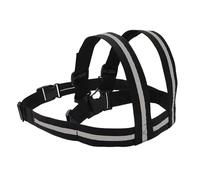 Platos de motocicleta para niños | Cinturón de seguridad pa-ra el cinturón seguridad p-ara la motocicleta infantil niños | protección al conducir para viajar, calle, vida cotidiana