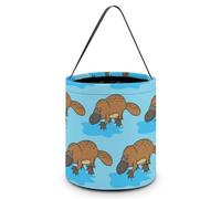 Platypus - Bolsas de mano con diseño de pato, para Halloween, truco o trato, cesta de caramelos, reutilizable, portátil
