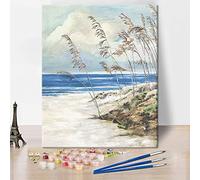 Playa Abstracta Pinta por Números para Adultos - Dunas de Arena del Océano, Hierba, 16X20 Pulgadas, Moderno Costero Naturaleza Caña Paisaje Marino Botánico