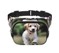 Playful Puppy - Riñonera cuadrada de doble capa con correa ajustable para actividades al aire libre, color negro, talla única, Black, Talla única