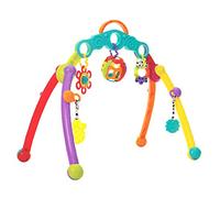 Playgro Arco de Actividades, con Juguetes Desmontables, Desde el Nacimiento, Junyju Fold and Go Activitiy Playgym, Multicolor, 40173