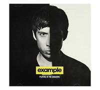 Example - PLAYING IN THE SHADOW