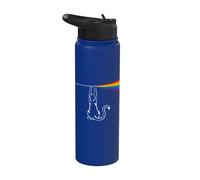 Playing with Light Cat Gift Men Kids Women Funny Cat Stainless Steel Insulated Water Bottle