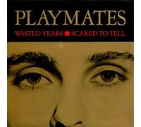 Playmates (4) - WASTED YEARS 7 INCH (7" VINYL 45) UK ISSUE PRESSED IN FRANCE WHAT GOES ON 1983