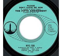 Please Don't Leave Me Now / Got You Where I Want You - Fifth Amendment 7" 45