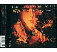 Pleasure Principle - Trip to my soul (3 tracks, 1990)