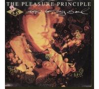 Pleasure Principle - Trip To My Soul 7 Inch (7" Vinyl 45) German Electrola 1990