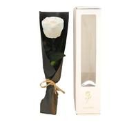 Pleayietoopiatiey Flor preservada de rosas para mujer, regalo para aniversario, boda, cumpleaños, color blanco