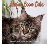 Plenty Gifts Calendario 2027 - Calendario de pared (30 x 30 cm), diseño de gatos Maine Coon