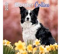 Plenty Gifts Calendario 2027 - Calendario de pared Border Collies, calendario mensual, 16 meses, 30 x 30 cm