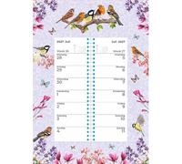 Plenty Gifts Calendario 2027 - Calendario semanal Birds Original