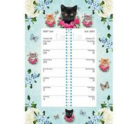 Plenty Gifts Calendario 2027 - Calendario semanal Cats Blue
