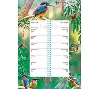 Plenty Gifts Calendario 2027 - Calendario semanal Kingfisher