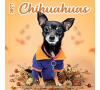 Plenty Gifts Calendario 2027 Chihuahuas Studio - Calendario mensual - 16 meses - 30 x 30 cm
