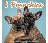 Plenty Gifts Calendario 2027 Frenchies Studio - Calendario mensual - 16 meses - 30 x 30 cm