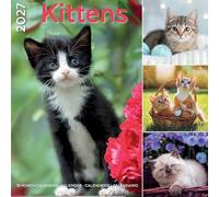 Plenty Gifts Calendario 2027 I Love Kittens - Calendario mensual - 16 meses - 30 x 30 cm