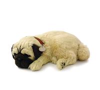 Plenty Gifts Petzzz Soft Pug, Universal, Talla Única