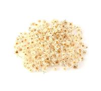 PLGEBR Flores secas naturales, cabeza de gota de cristal de flores secas, mini ramo de margaritas de manzanilla para arreglos florales de boda, decoración del hogar, regalos del día de San Valentín