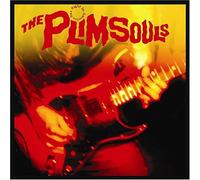 Plimsouls, the - One Night in America
