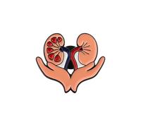 PLITI Pin de esmalte de riñón para estudiantes de medicina, médicos, enfermeras, urología, nefrología, trasplante de riñón, regalo para nefrólogo renal, M, Acero inoxidable, No es una piedra preciosa