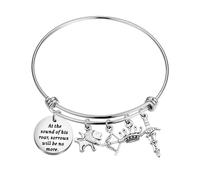 PLITI Pulsera con cita de Narnia en el sonido de sus dolores de rugido no será más literatura, regalo para amantes de los libros literarios, Medium, Acero inoxidable
