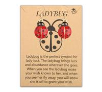 PLITI Regalo para amantes de la mariquita, regalo de mariquita roja para amantes de los animales, Medium, Acero inoxidable