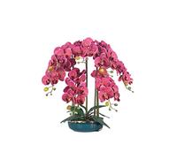 PLMNBQWE Bonsái de orquídea Phalaenopsis, Flor Artificial Seca, con jarrón de cerámica - Decoración para el hogar y la Oficina