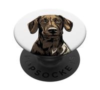 Plott Hound Dog Ilustración PopSockets PopGrip Adhesivo