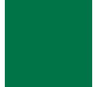 plottiX Lámina de vinilo permanente, 31,5 cm x 1 m, color verde