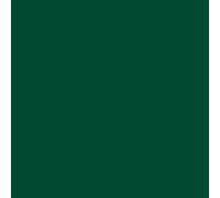 plottiX Lámina de vinilo permanente, 31,5 cm x 1 m, color verde oscuro